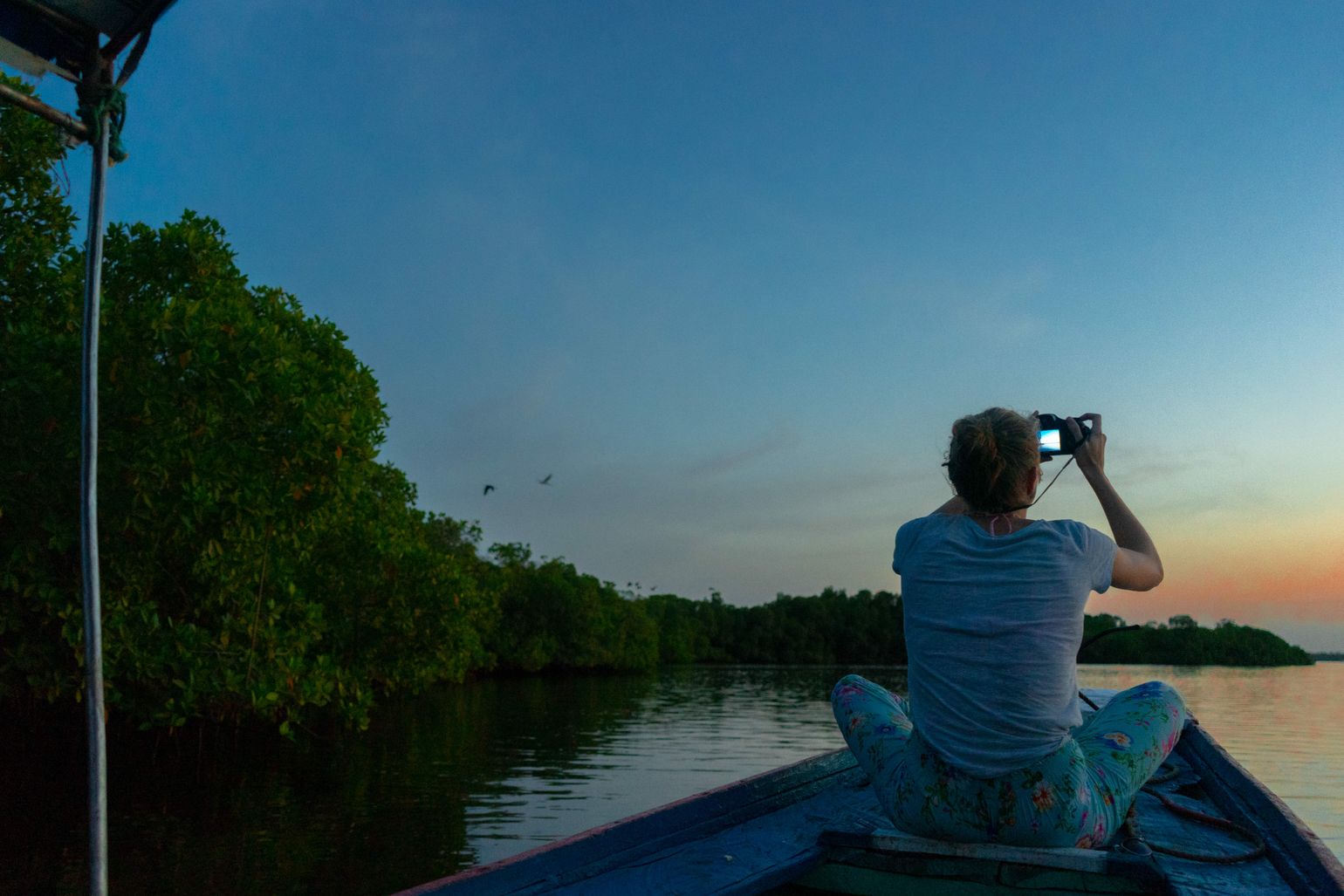 boot senegal mangrove