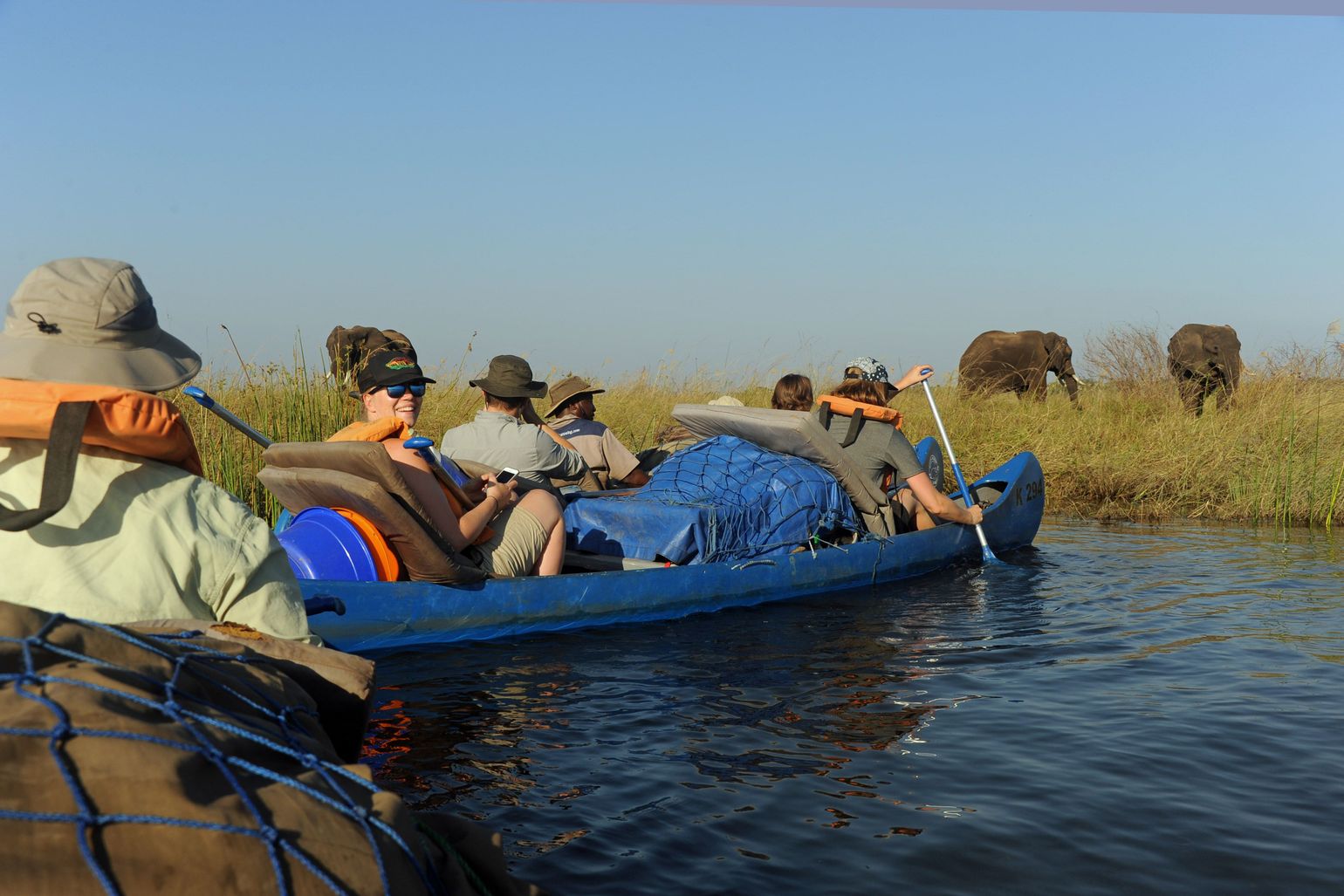 safari Big Five Afrika olifant Zambia
