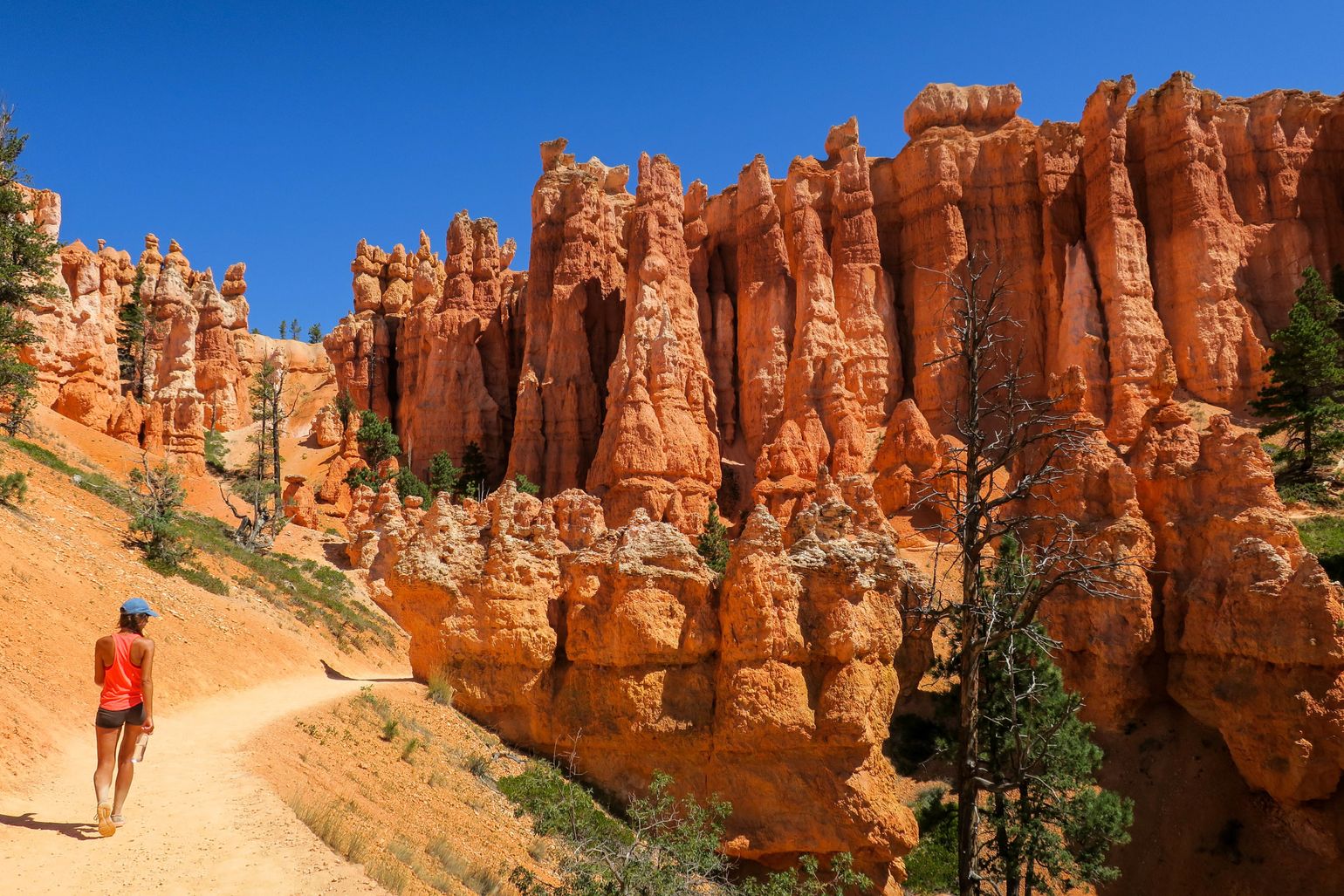 Bryce Canyon west Amerika