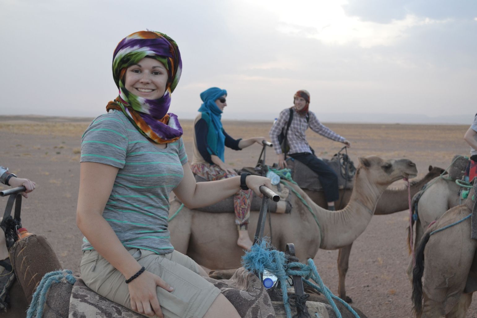 dromedaris in Marokko