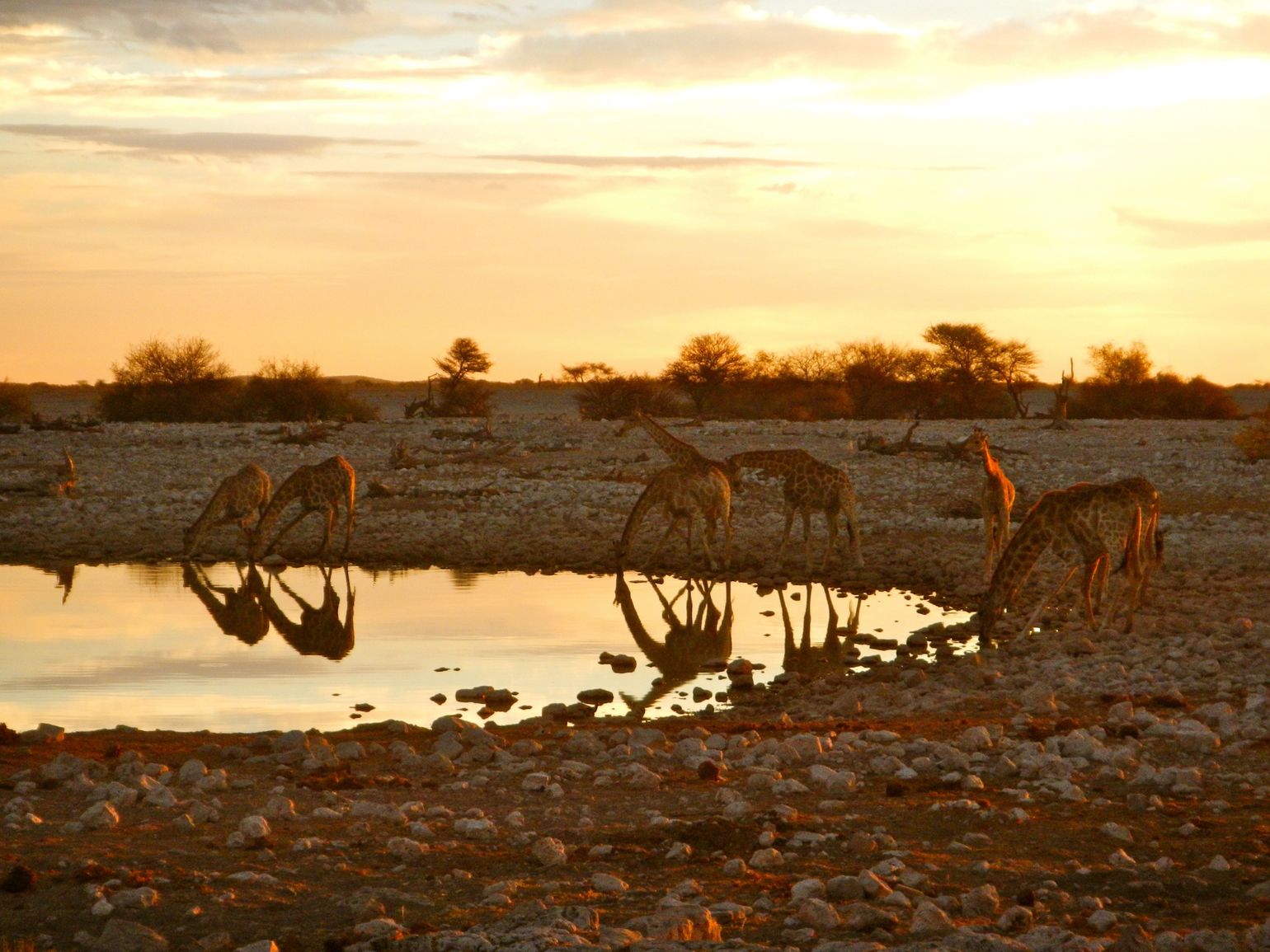Zonsonderdang in Etosha NP