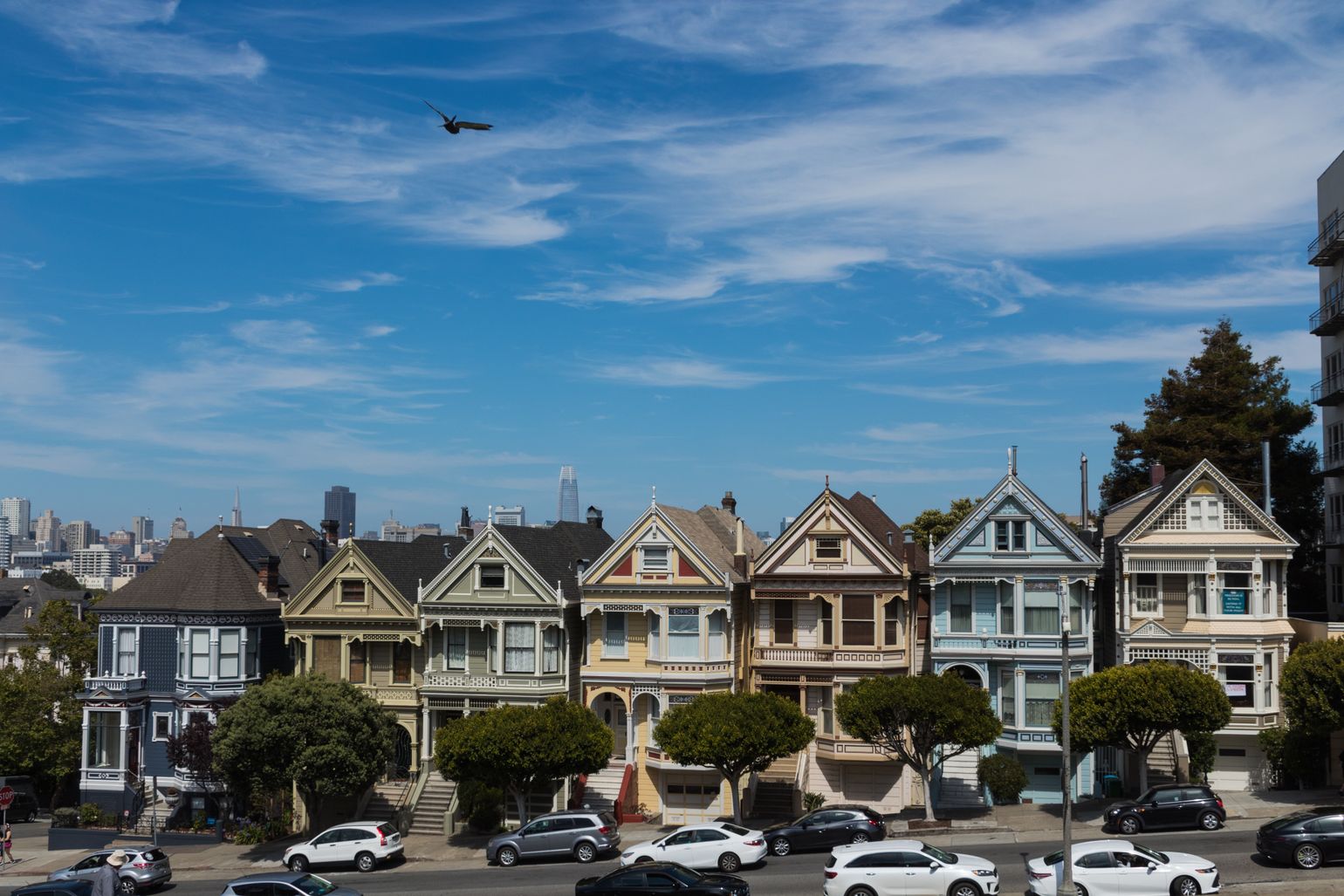painted ladies san francisco