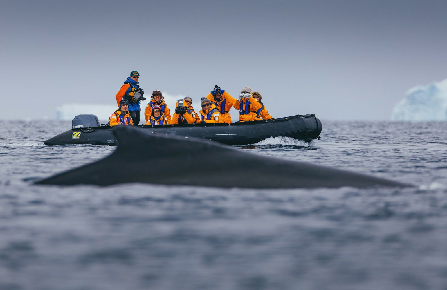 Quark Expeditions