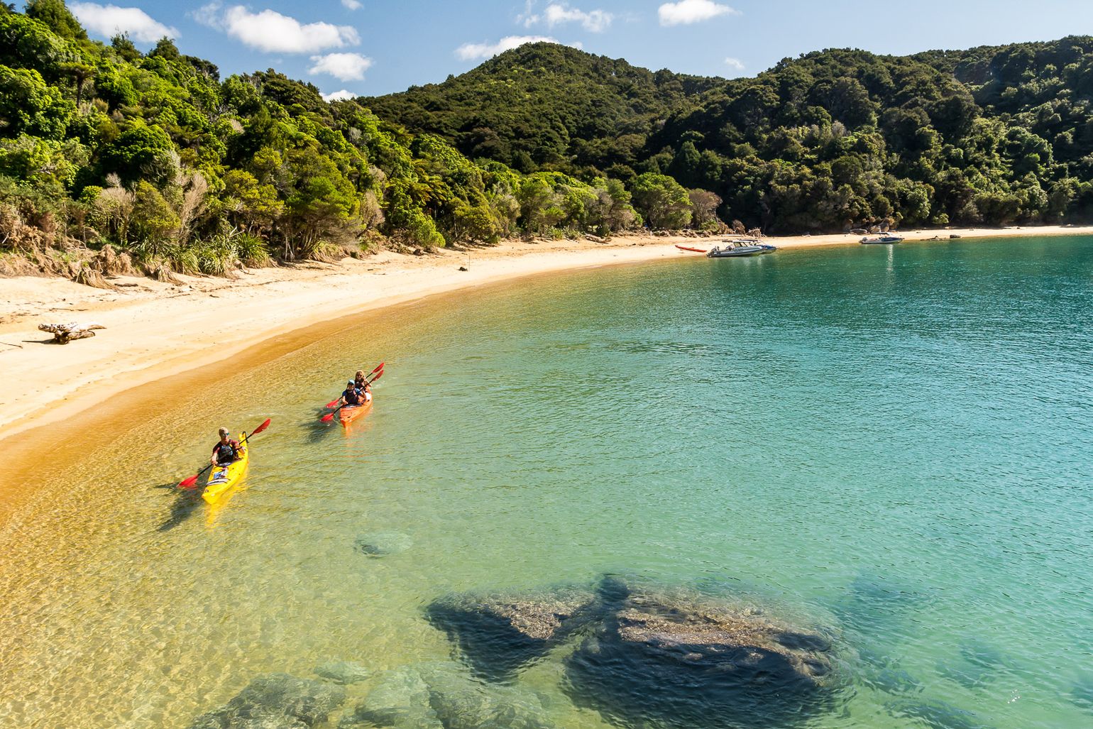 Abel Tasman