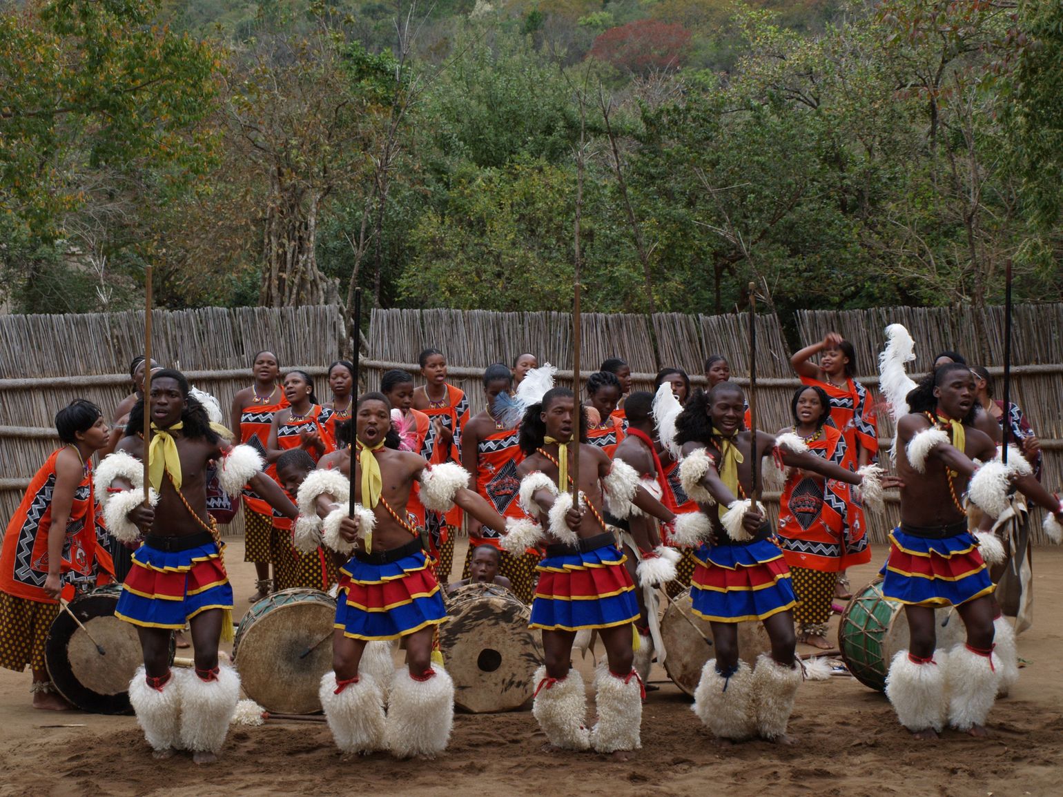Zoeloes verwelkomen hun gasten met een dans, Zuid-Afrika
