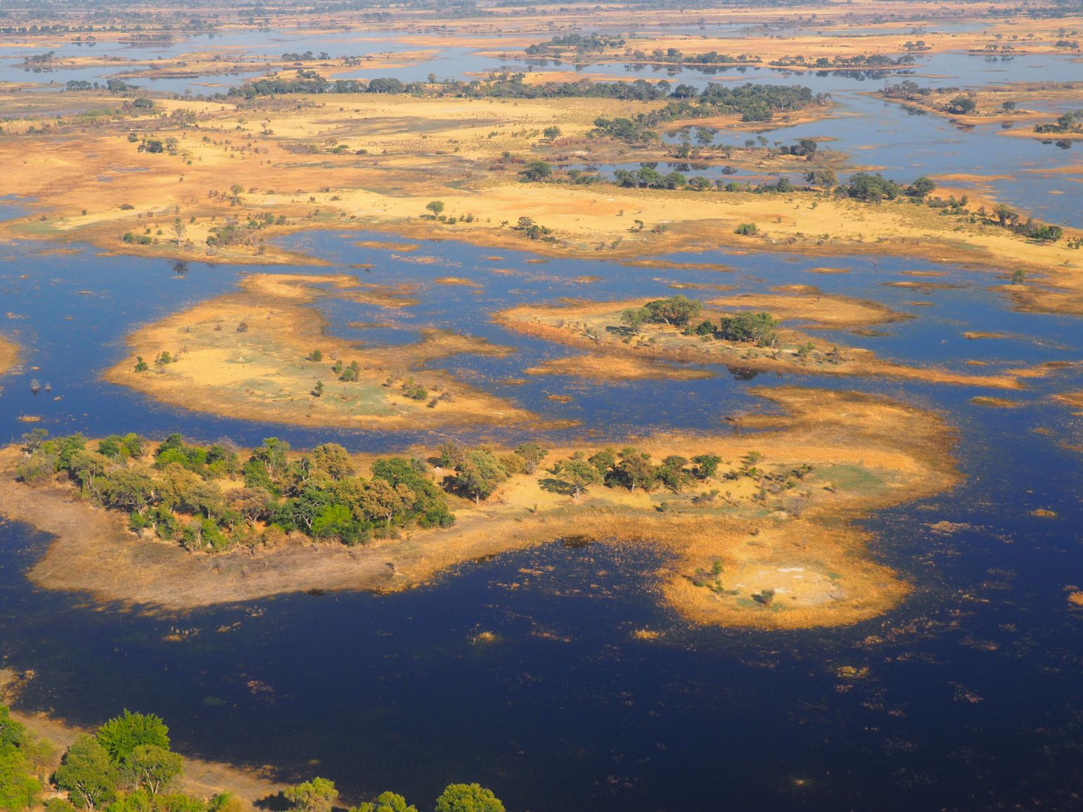 Vlucht over de Okavangodelta, Botswana