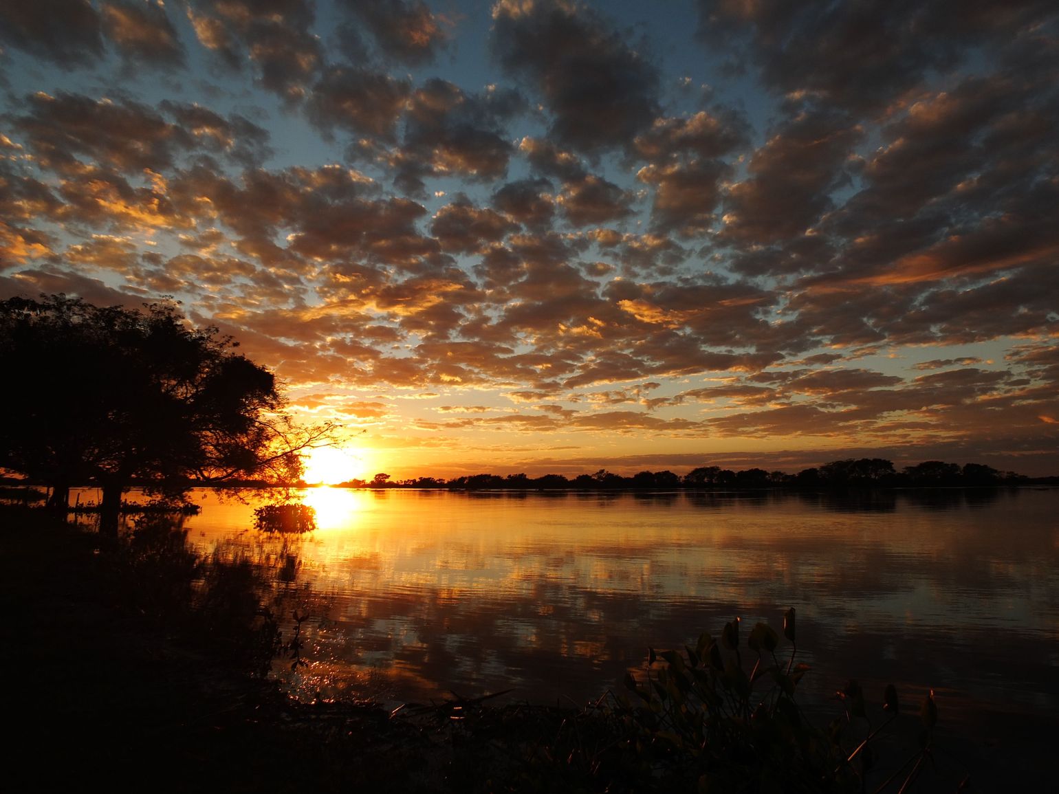 Zonsondergang in de Pantanal, wetland jungle in Brazilië