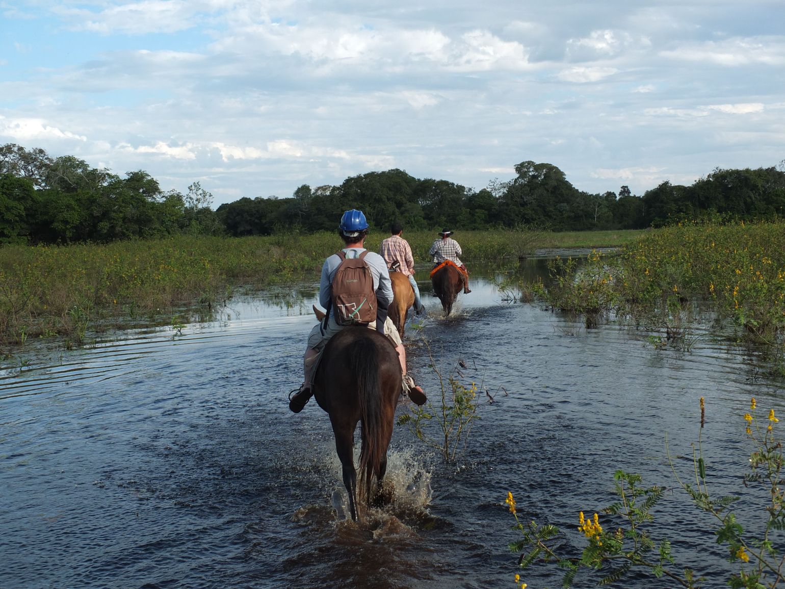 Te paard door de Pantanal
