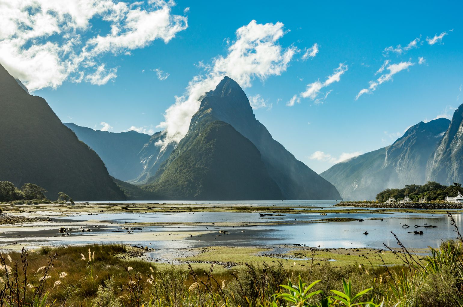 Uitzichtpunt Milford Sound (fjorden) in Nieuw-Zeeland