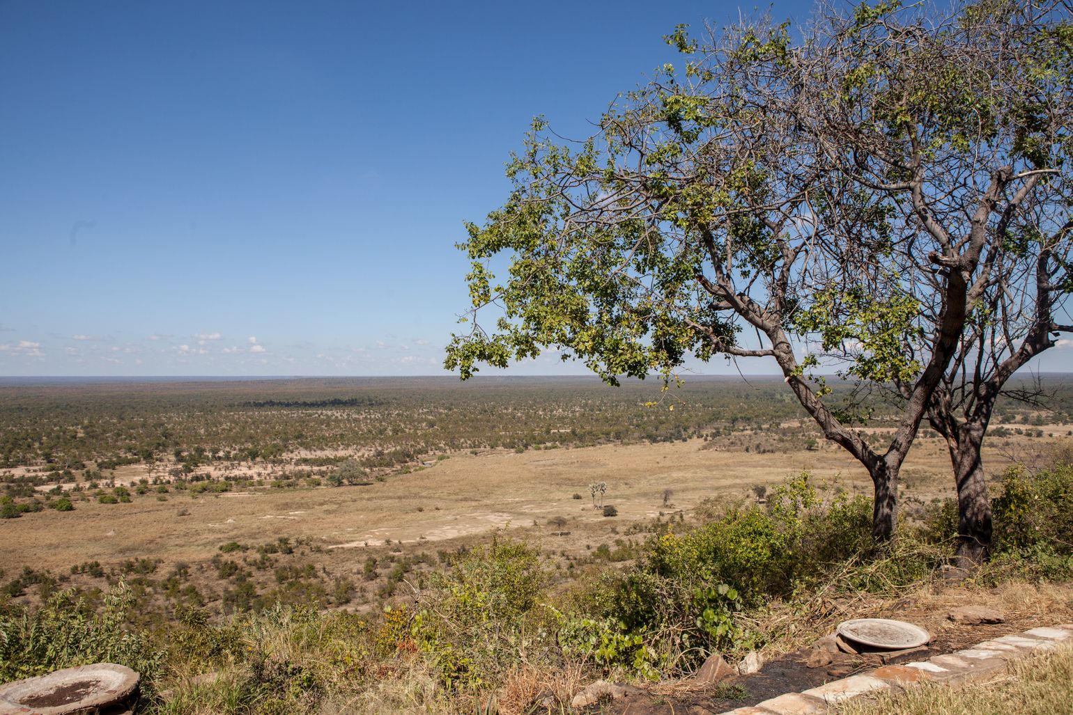 Hwange National Park, uitgestrekt en droog, Zimbabwe