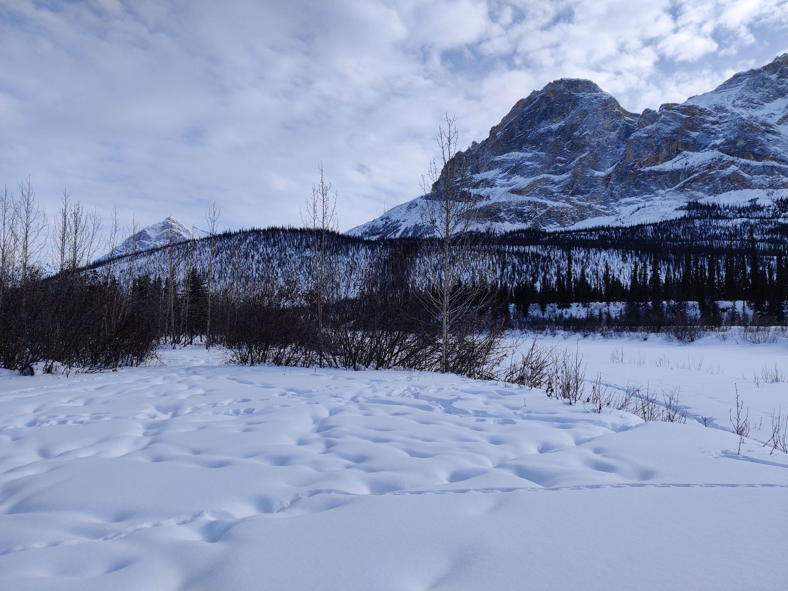 Coldfoot - Arctic Mountain Safari