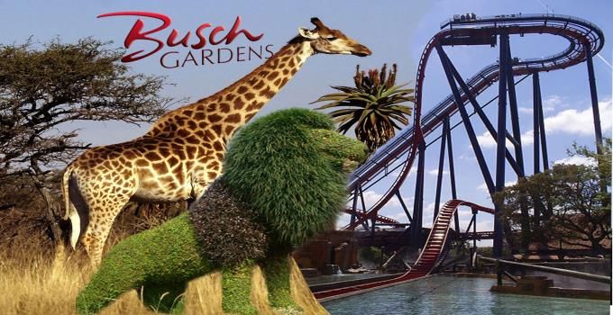 Busch Gardens Tampa Bay
