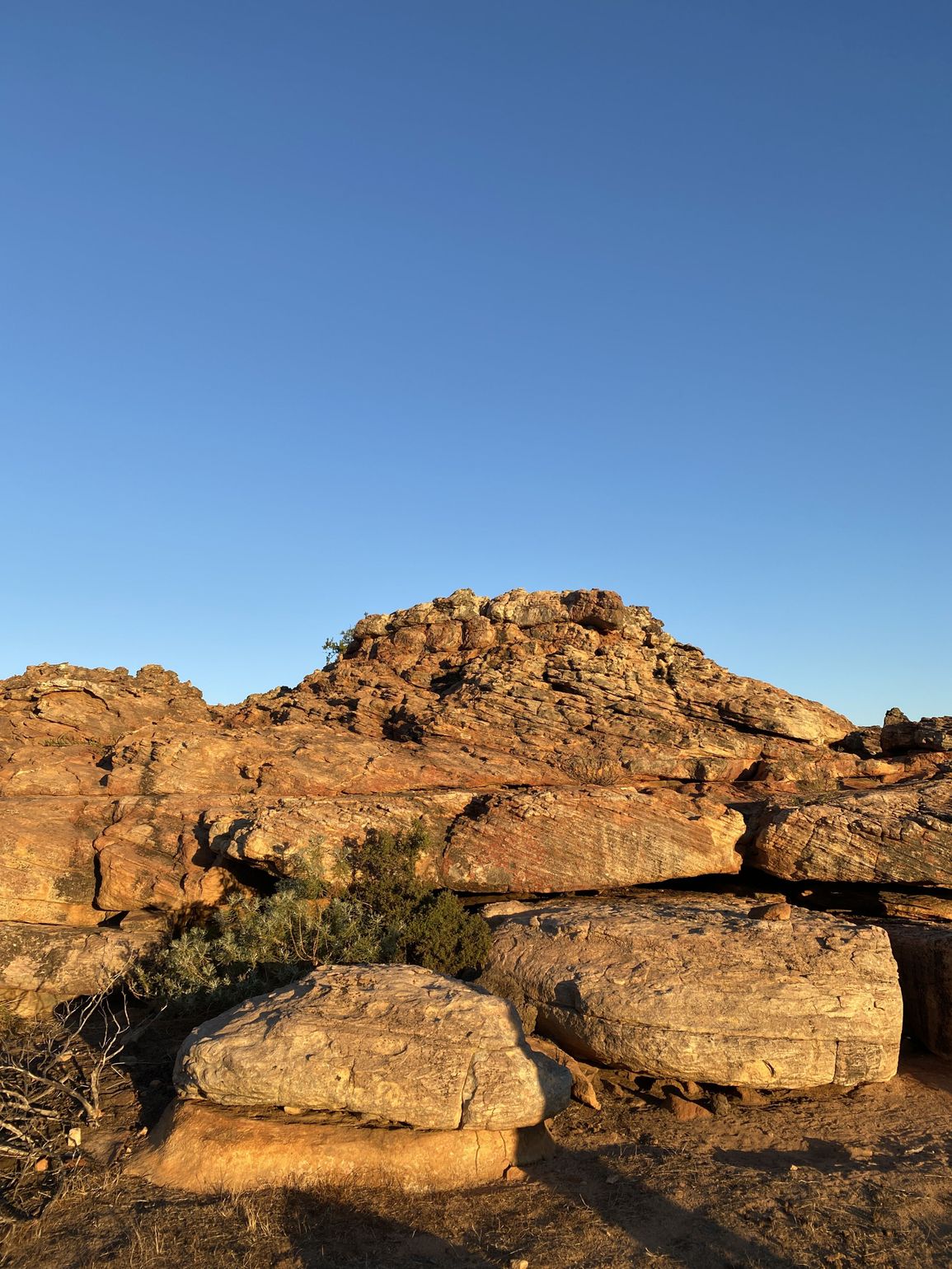 Cederberg rock art trail