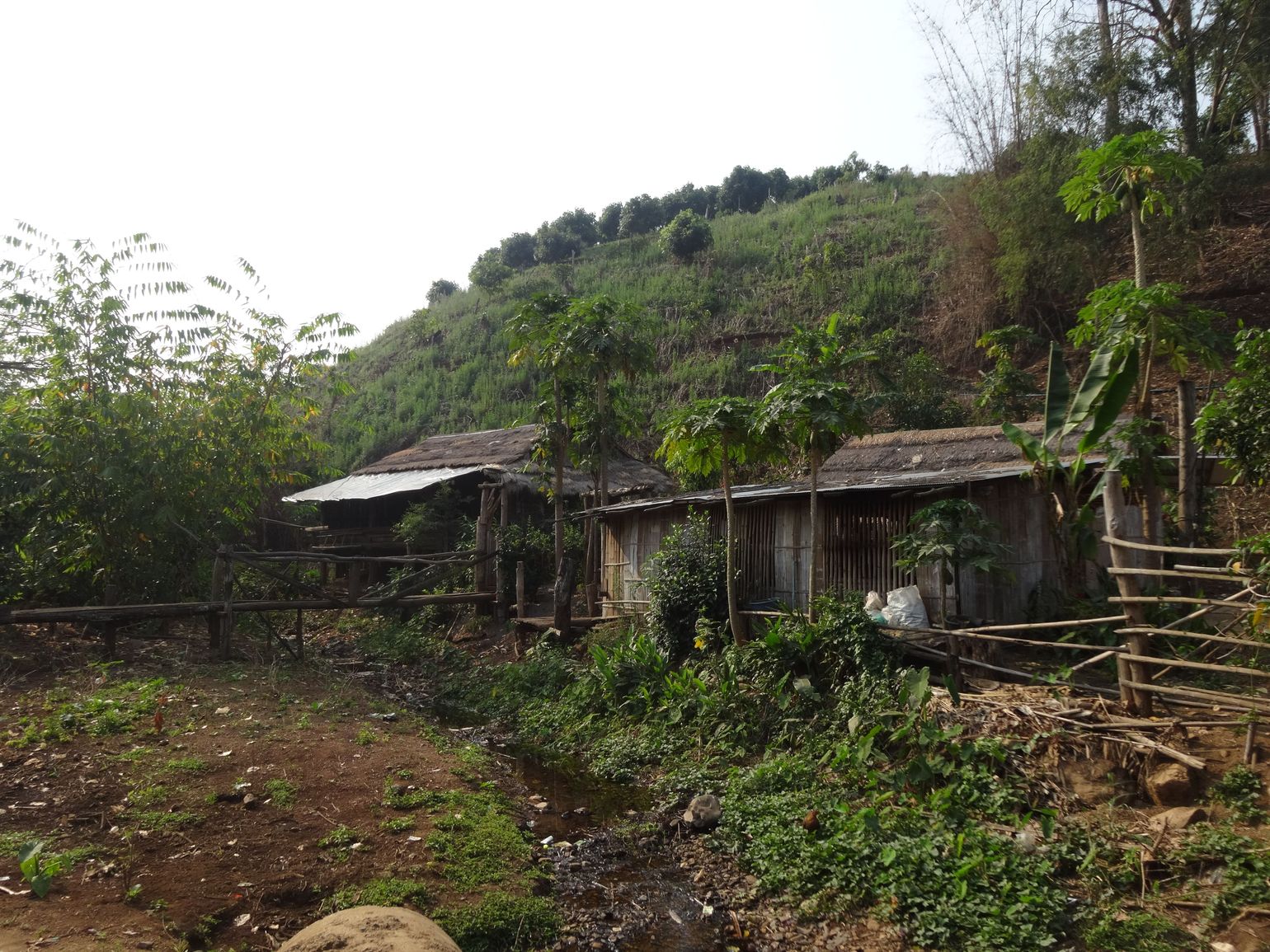 Jungletrekking in Thailand met Joker