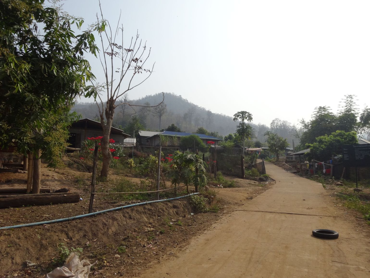 Trekking in Thailand met Joker