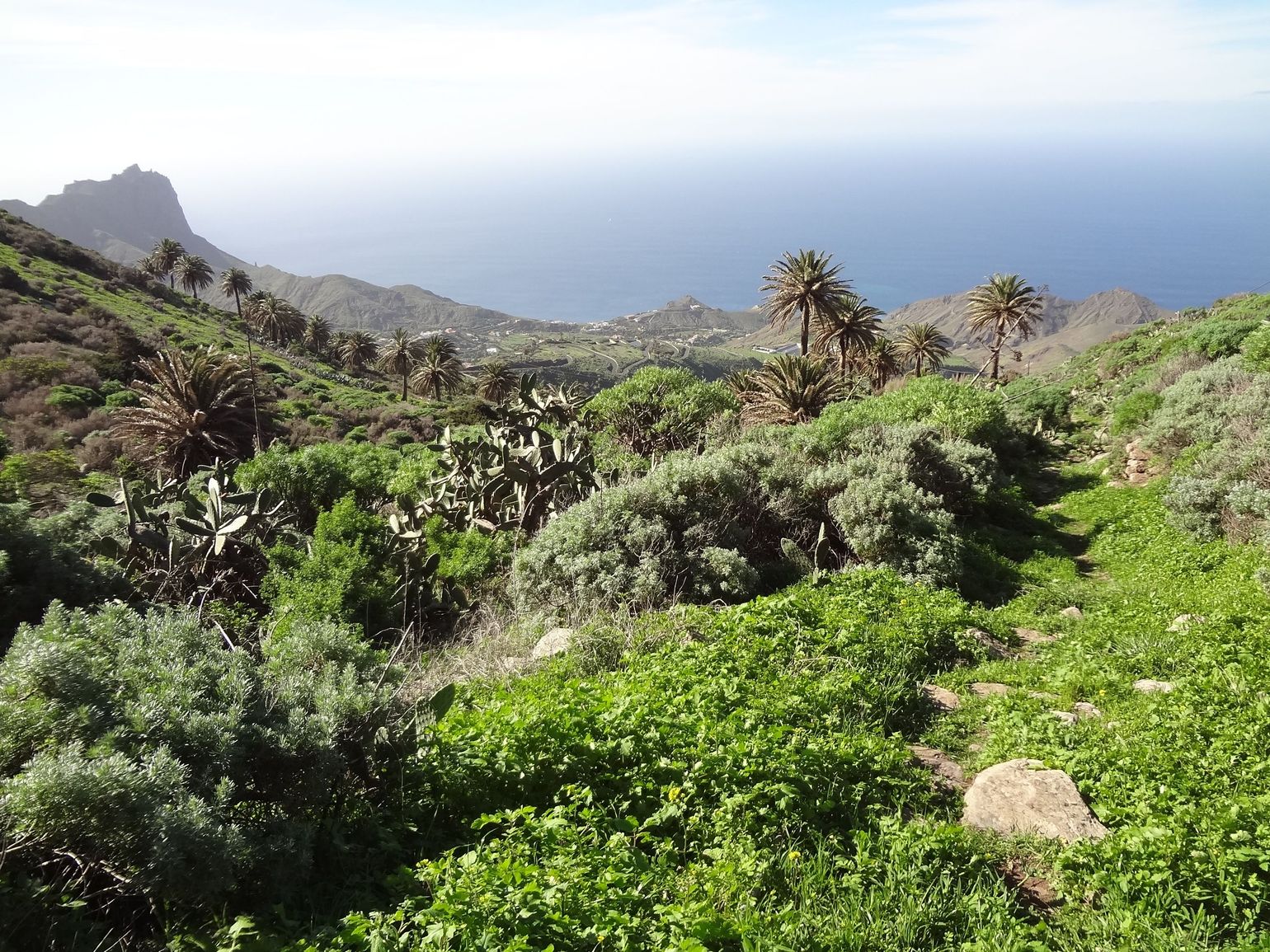 Spanje La Gomera met Joker Reizen