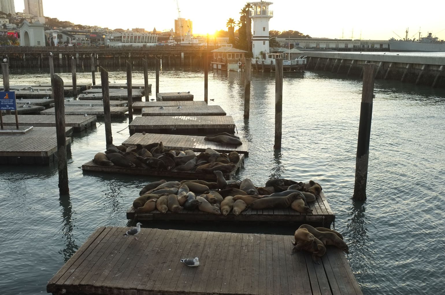 Fisherman’s Wharf: love it or hate it.