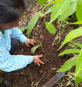 Bos plus in Ecuador - investeren