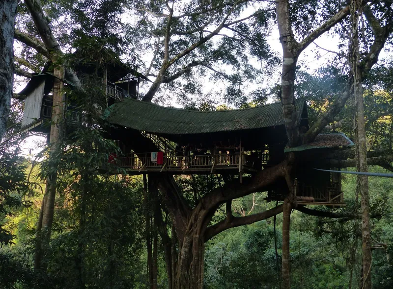 Overnachten in een boomhut Bokeo National Park