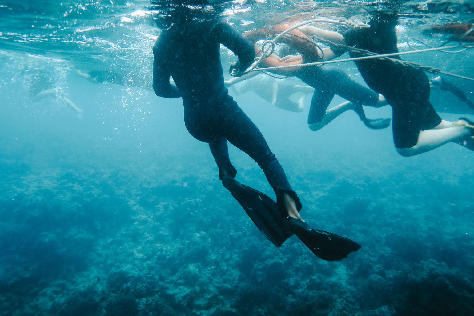 snorkelen Mnemba Atoll