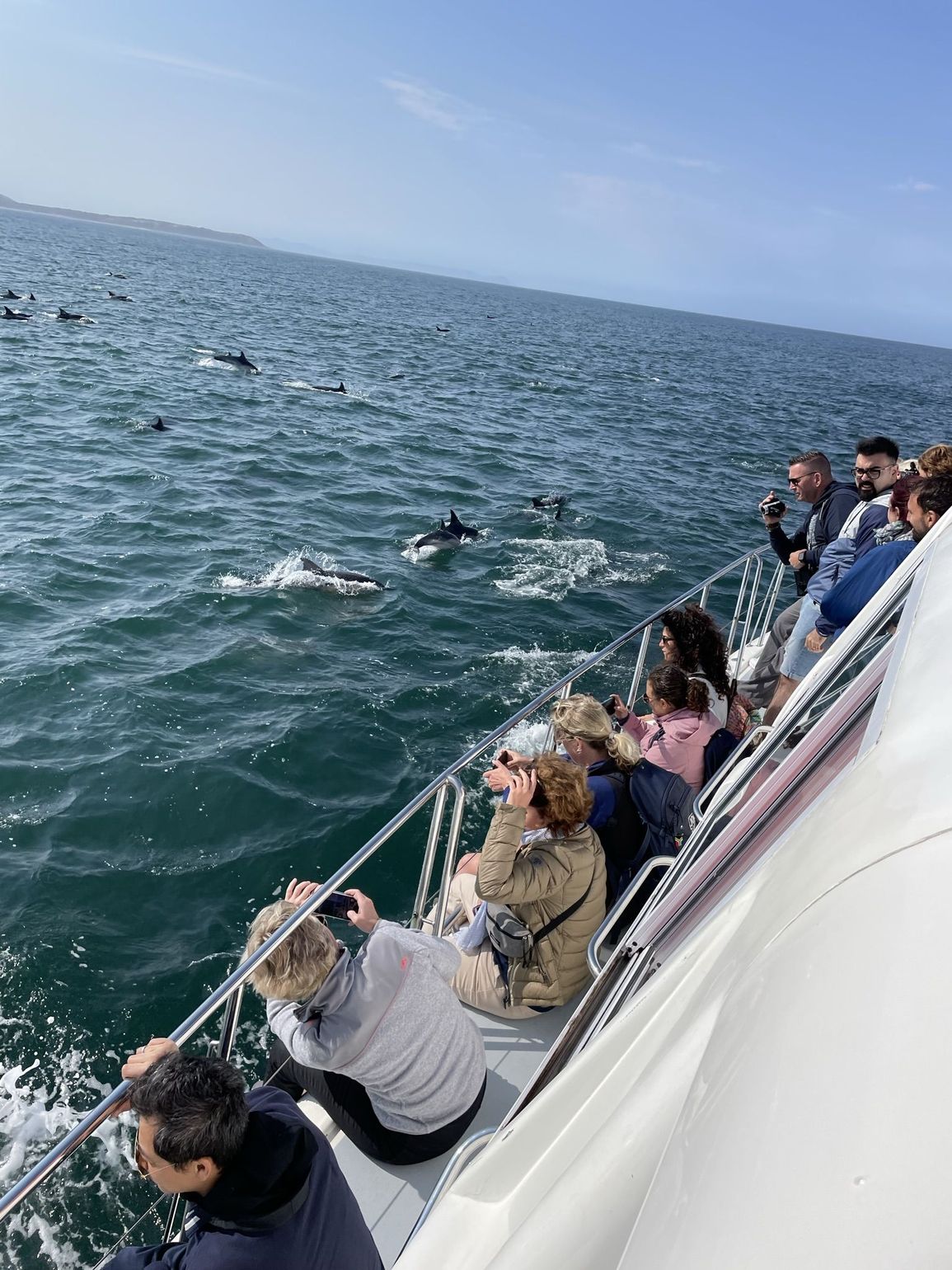 Per boot op zoek naar walvissen in Zuid-Afrika