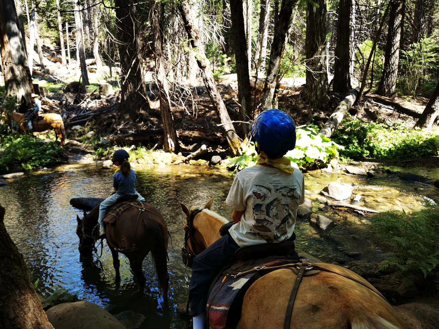 Paardrijden in Yosemite