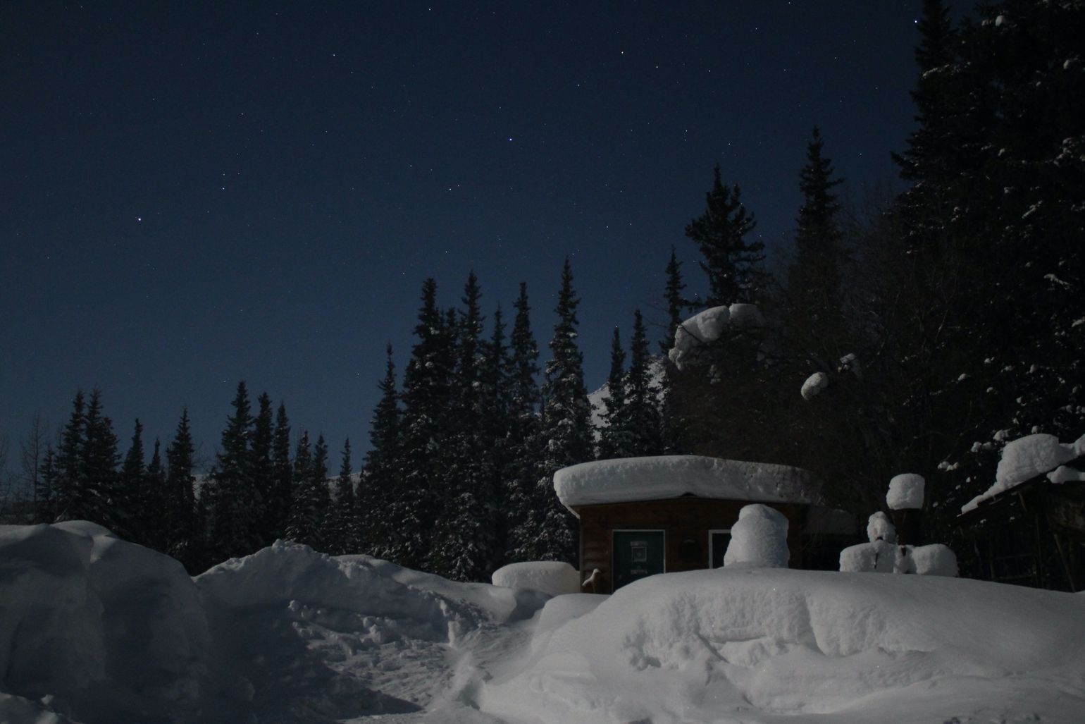 Arctic Village Aurora Tour