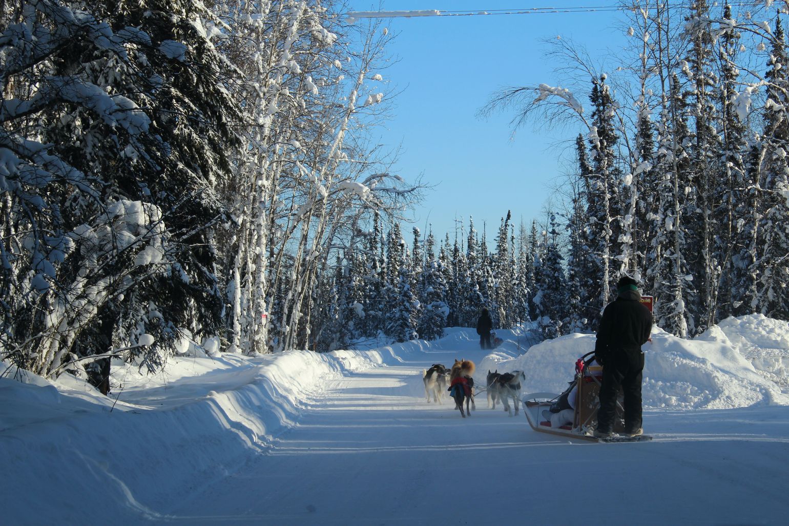 Hondensleetocht &amp; Noorderlicht