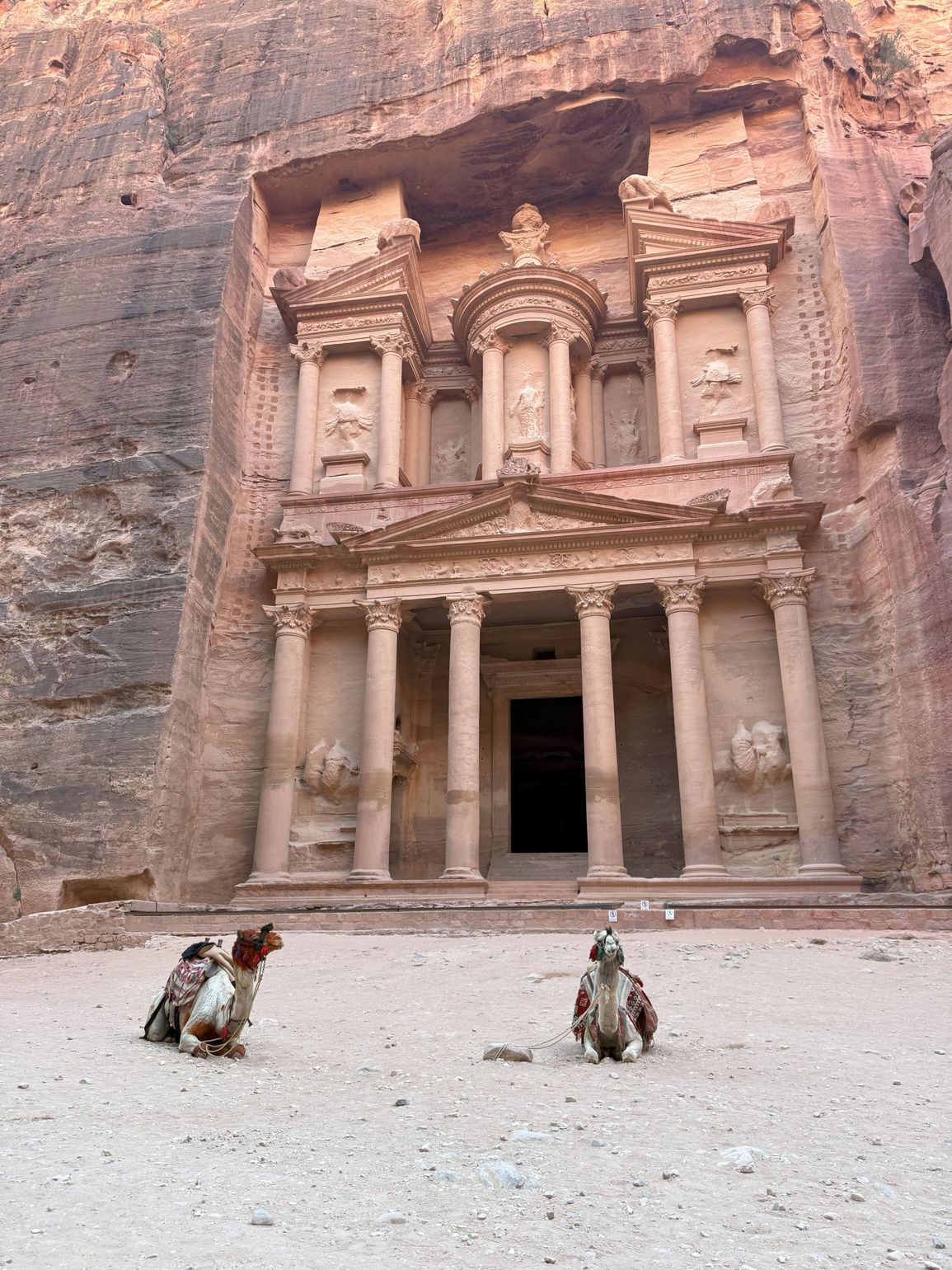 Kamelen voor de Treasury in Petra