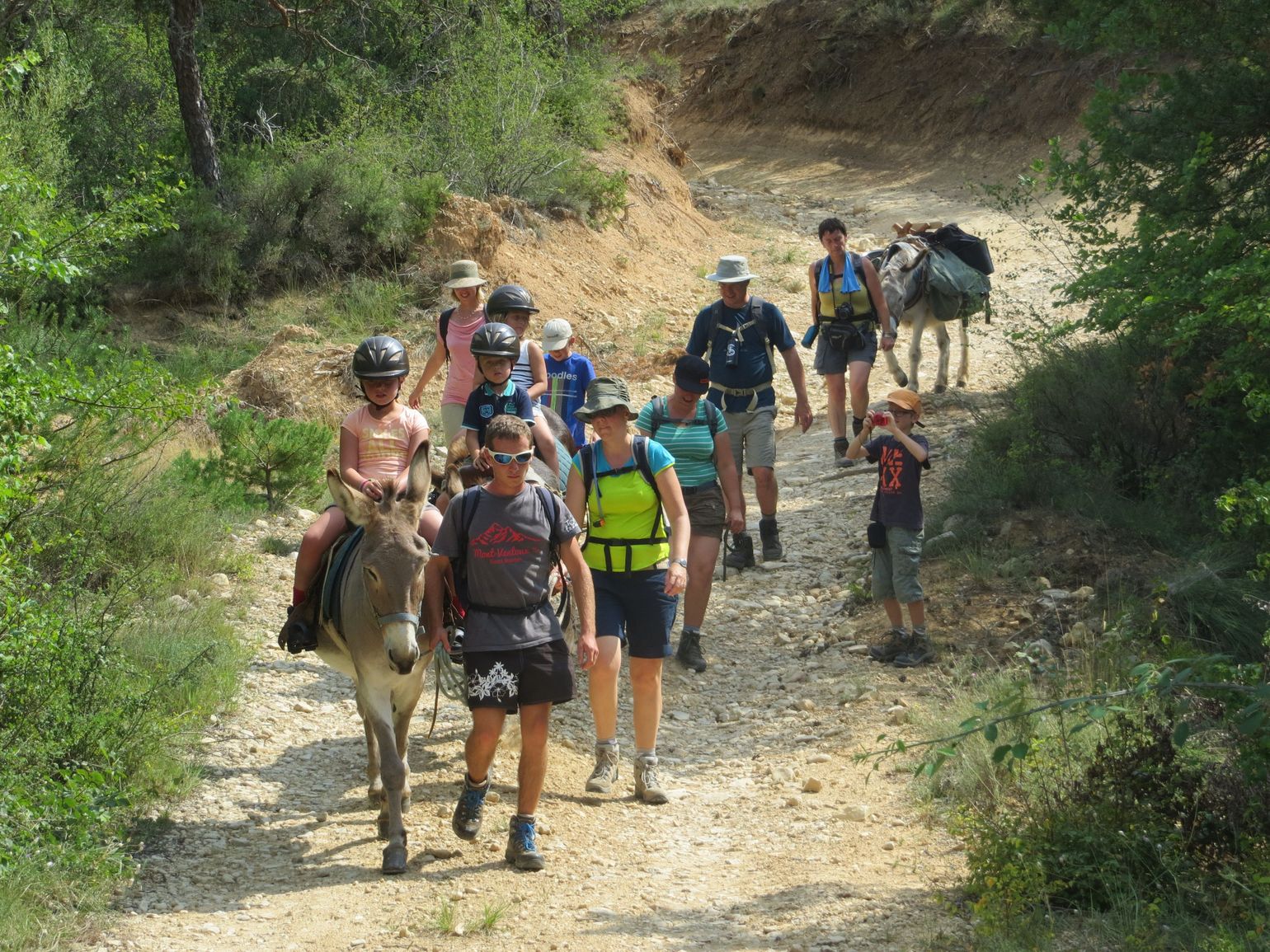 Wandelvakantie met ezels