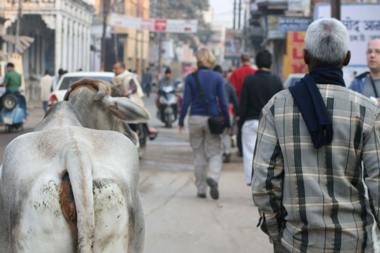 Straat in Delhi, India op reis met Joker