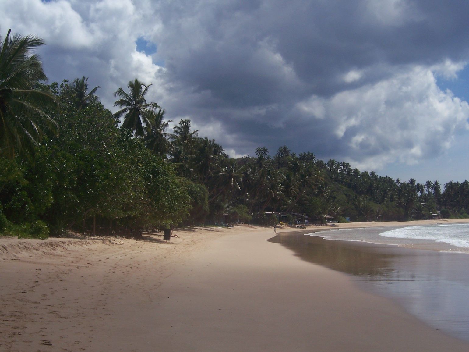 Mirissa: tropisch strand paradijs in Sri Lanka