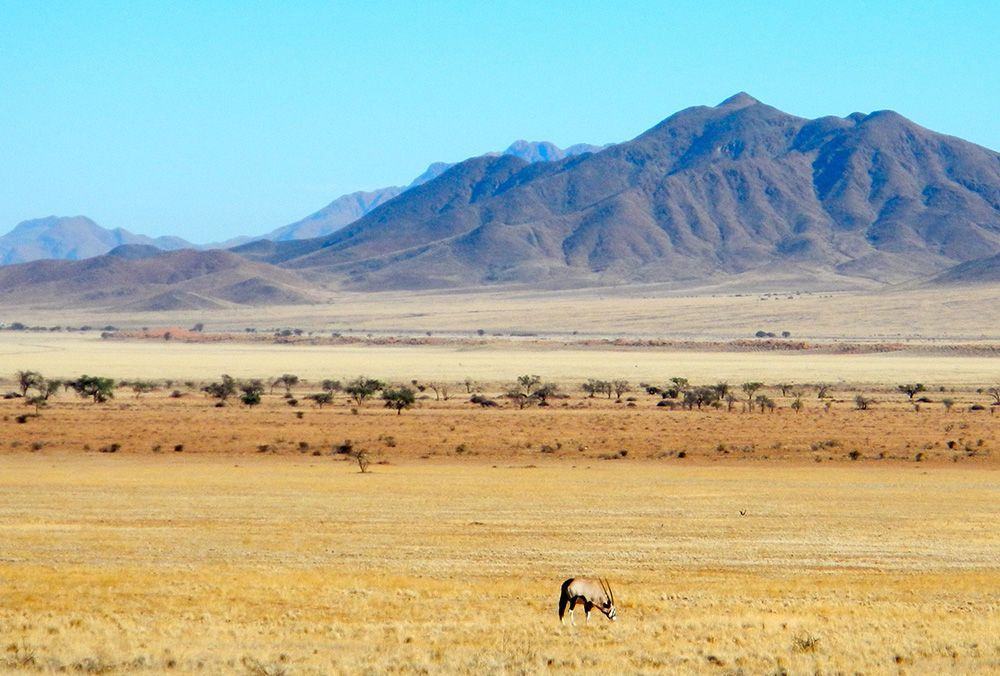 Namibrand uitgestrekte landschappen