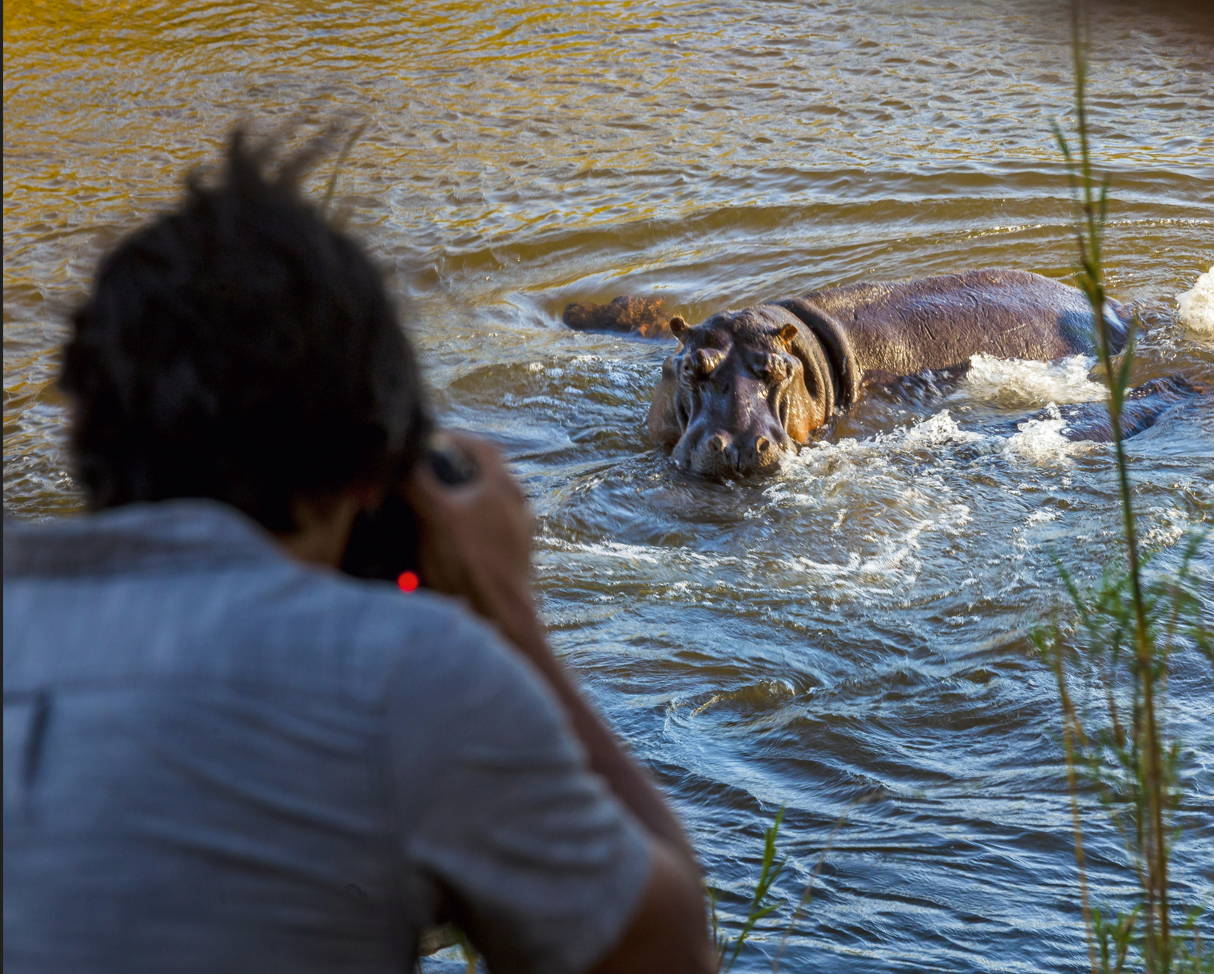 nijlpaard en fotograaf St Lucia