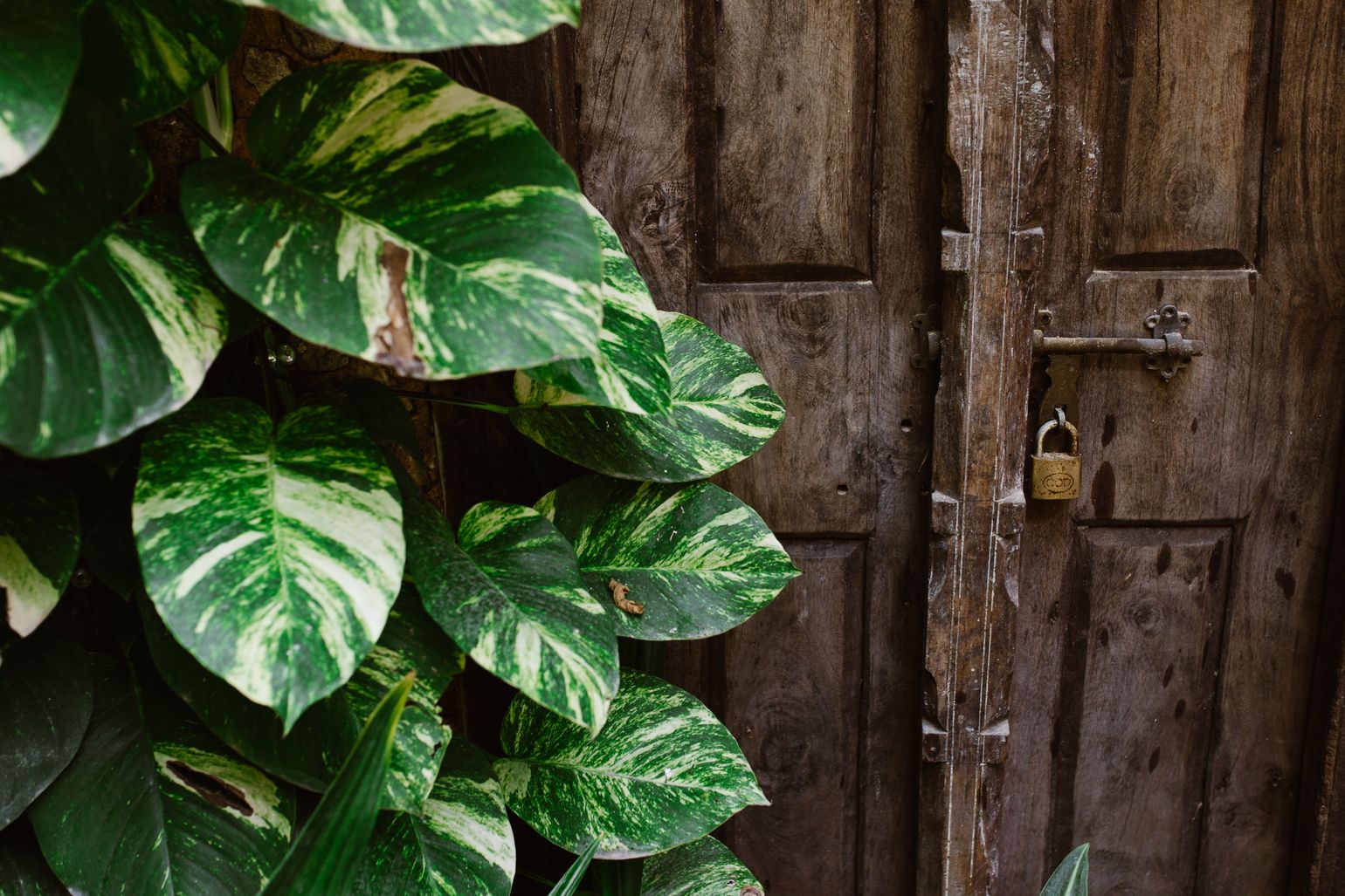 Typische houten deur Zanzibar