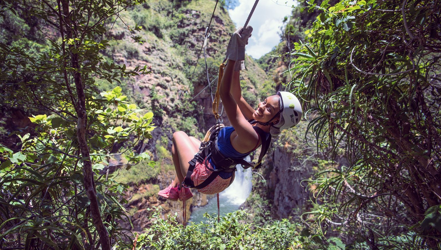 canopy