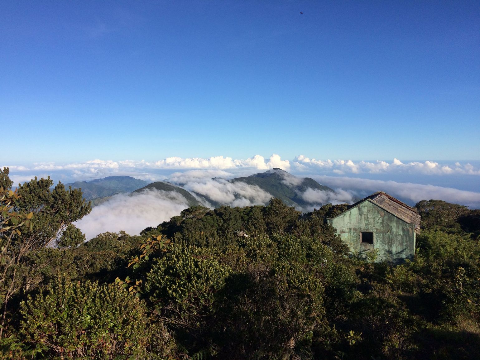 Uitzicht over de Blue Mountains - Birgit Pelemans