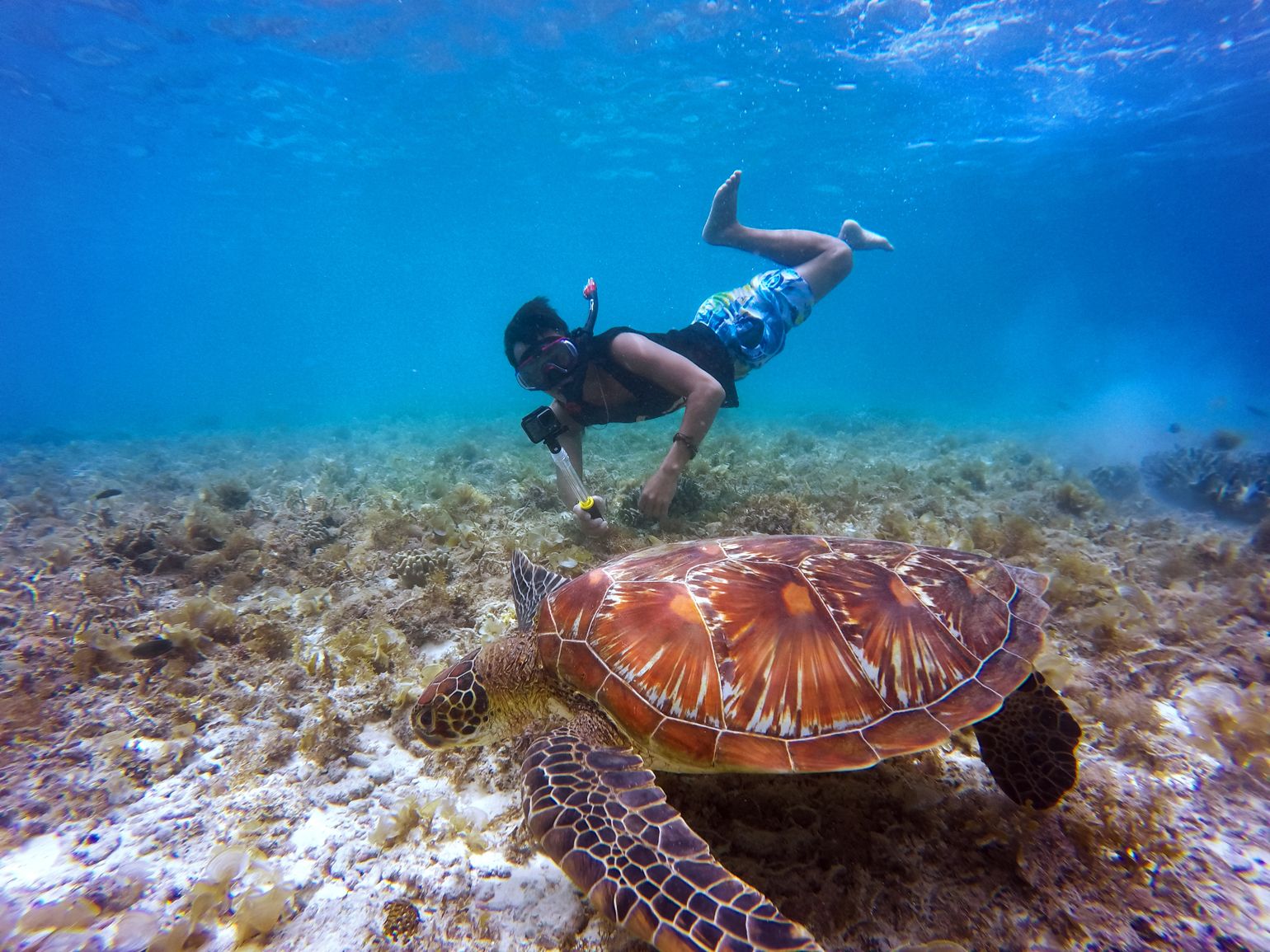 Snorkelen nabij de Gili-eilanden in Indonesië