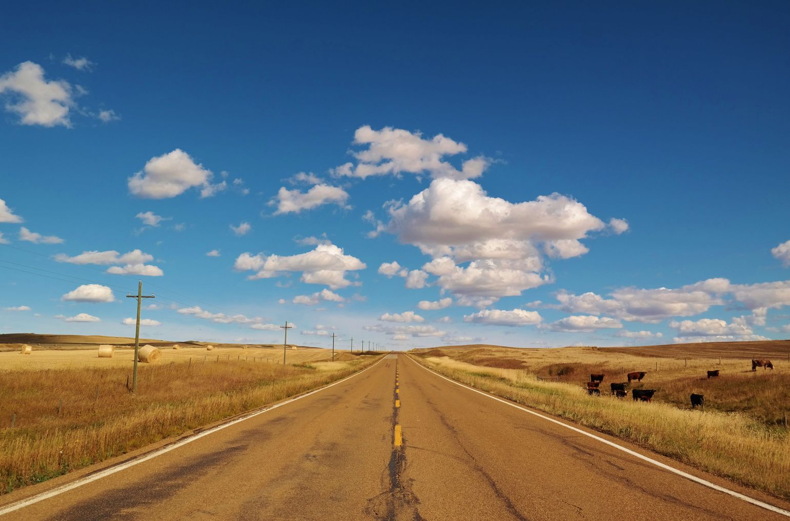 Canada bergen Noord-Amerika reis roadtrip