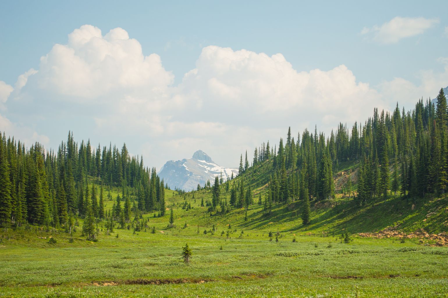 Canada backpack reis natuur 