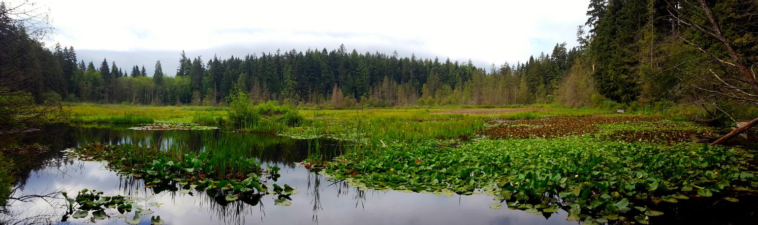 Canada Stanley Park Vancouver