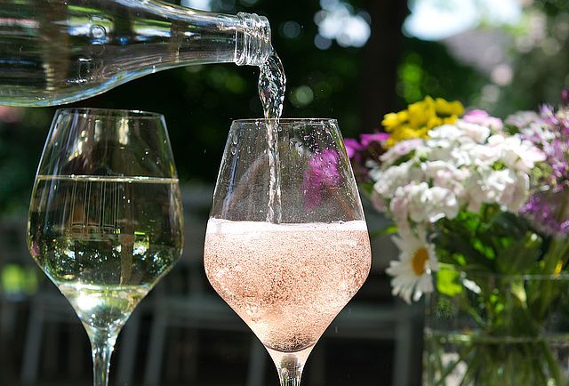 Wijn proeven langs het schilderachtige landschap van de Rijn in Duitsland