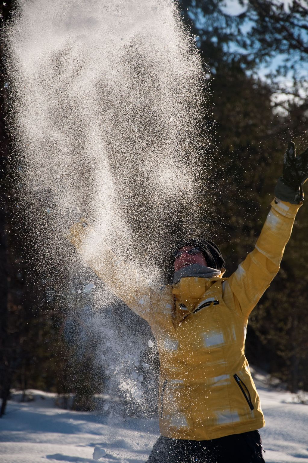 Fins Lapland winterpret