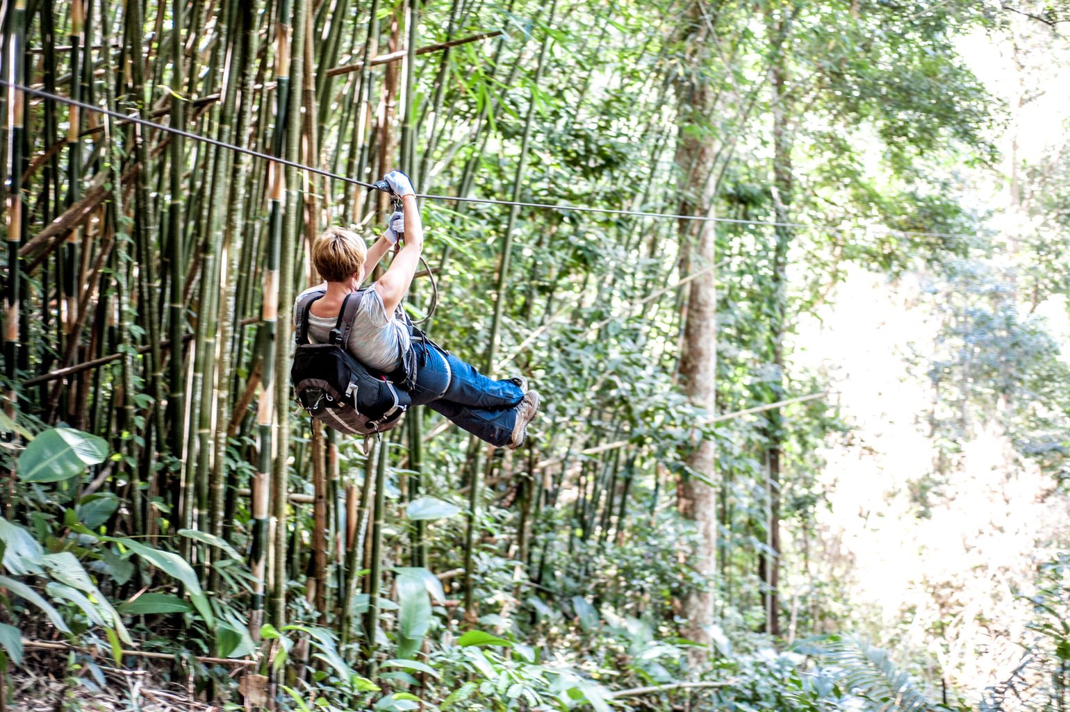 Gibbon Experience
