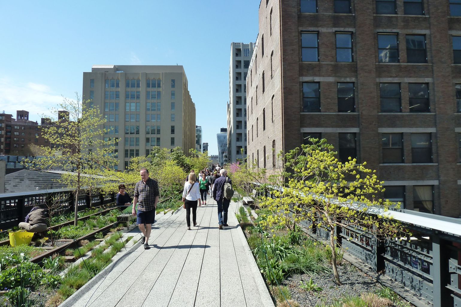 The High Line in New York City