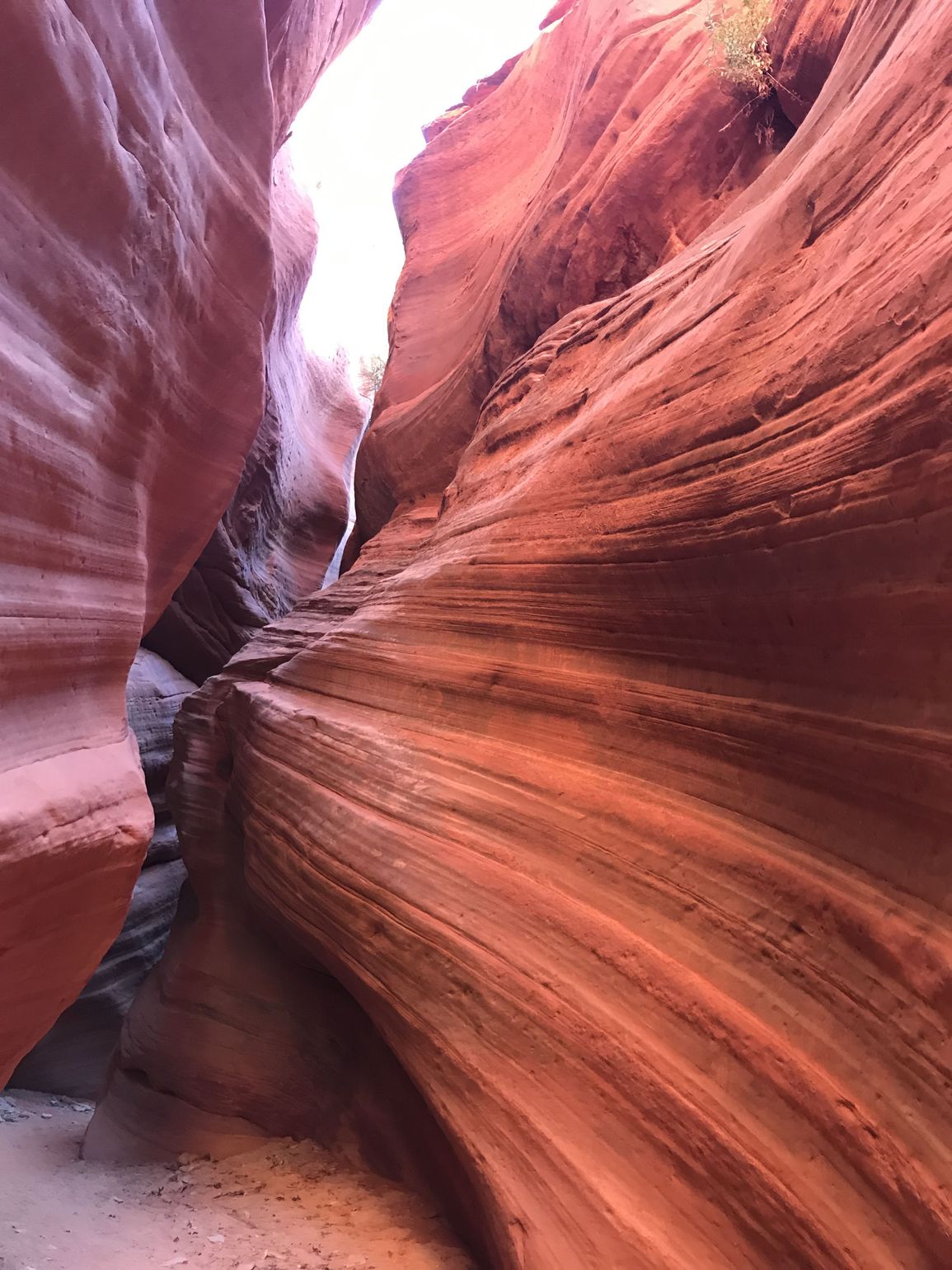 Wandelen door Peek-a-Boo Canyon