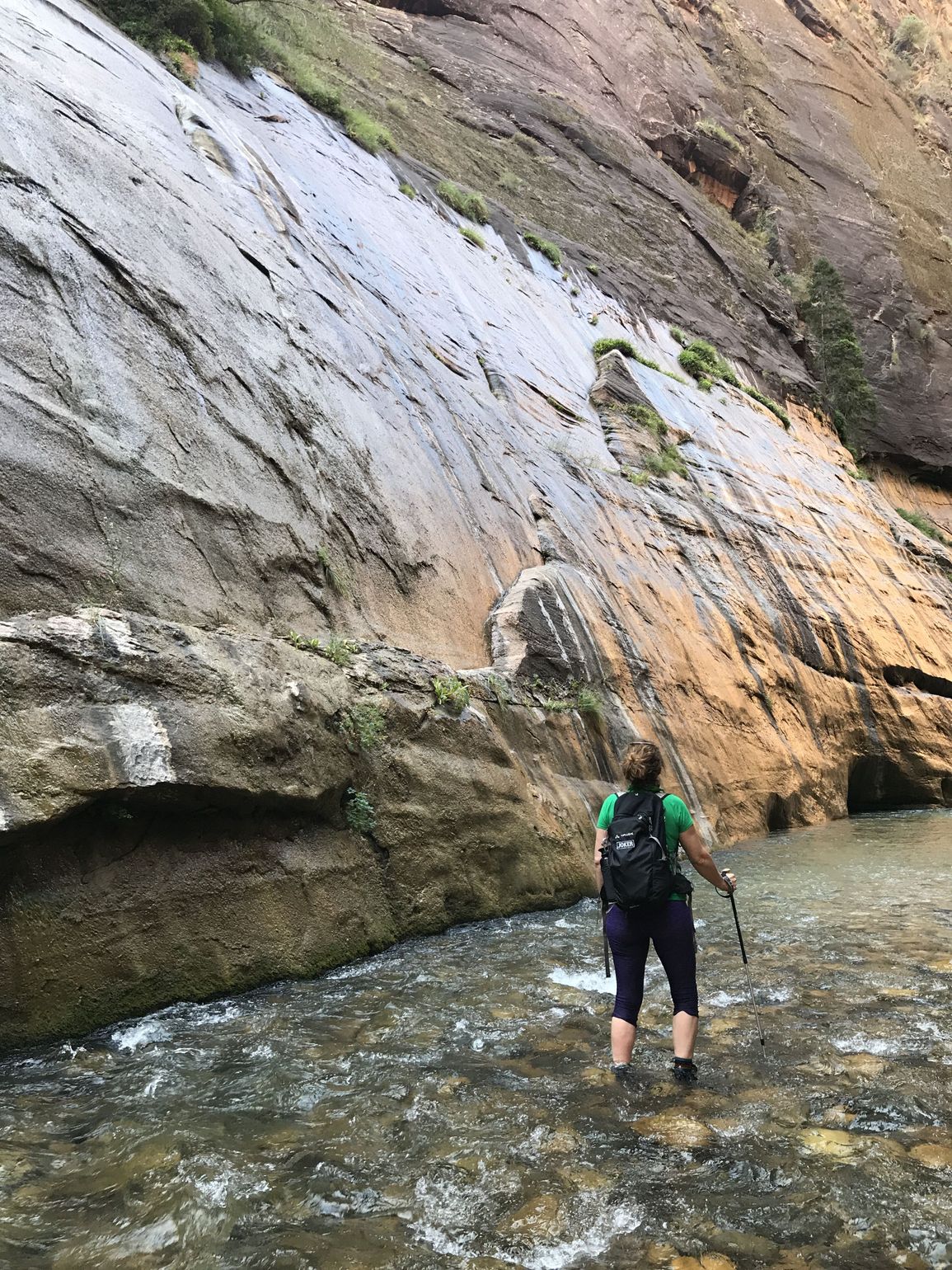 Wandelen door de Narrows in Zion National Park