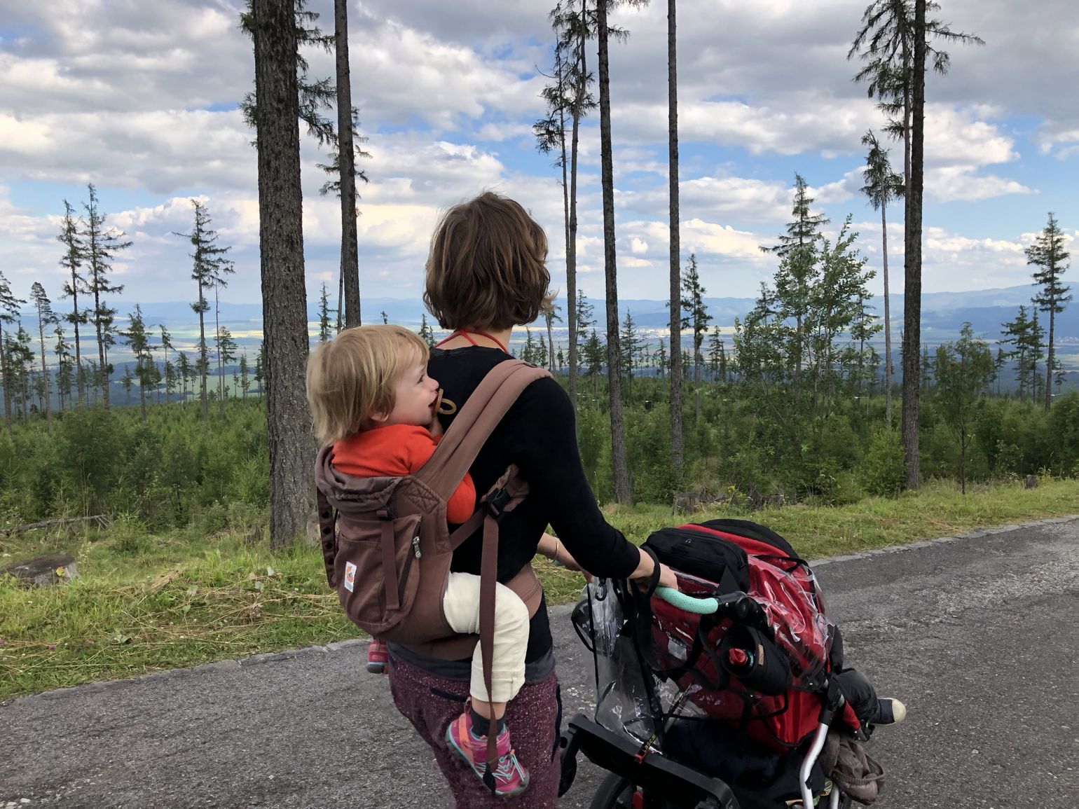 Slowakije - kamperen met kleine kinderen in een campervan