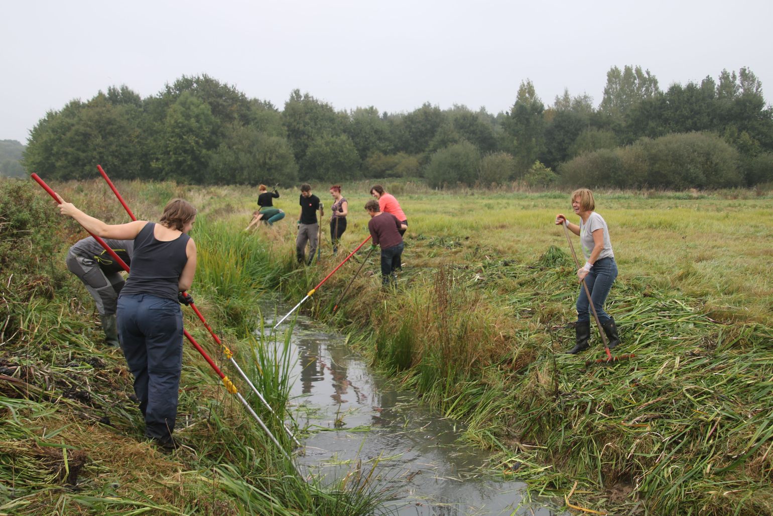 Joker-medewerkers verwijderen woekerplanten die het leven bedreigen in de beken
