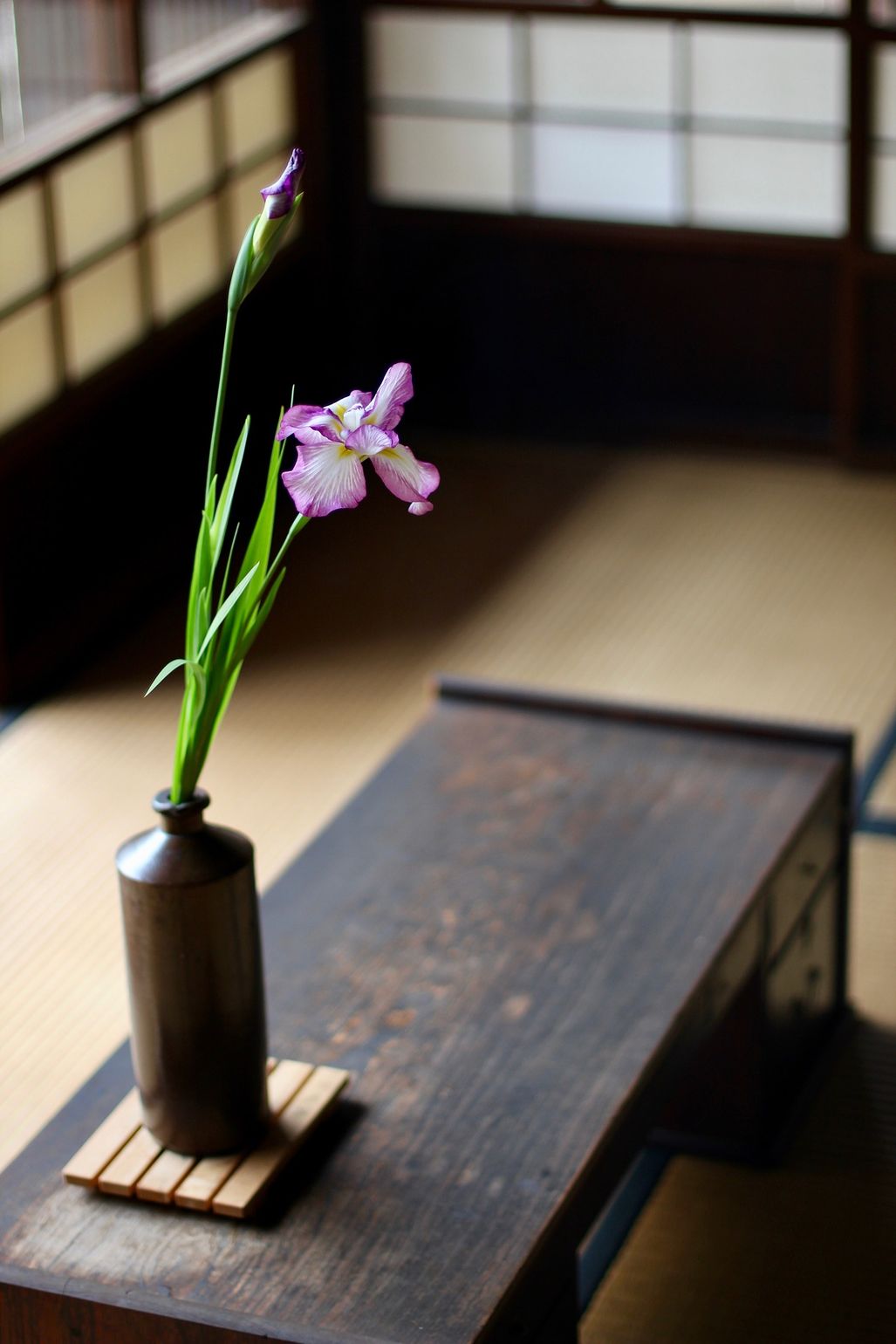 Japan Ryokan Tatami-kamer